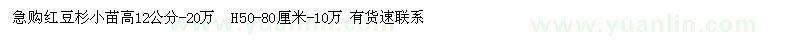 求購高12公分紅豆杉小苗