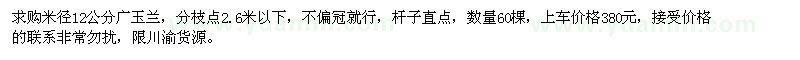 求購米徑12公分廣玉蘭