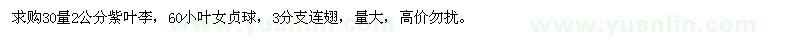 求購紅葉李、連翅、小葉女貞球