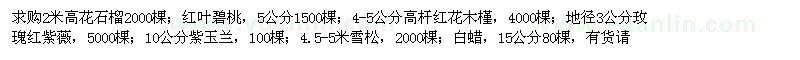 求購花石榴、紅葉碧桃、高桿紅花木槿