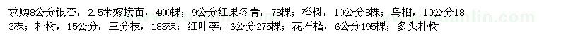 求購銀杏、紅果冬青、花石榴