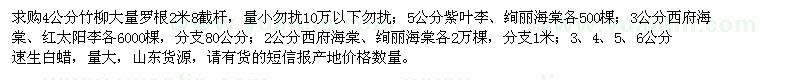 求購竹柳、速生白蠟、西府海棠等