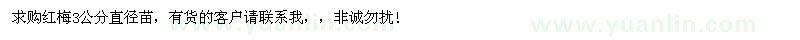 求購(gòu)直徑3公分紅梅苗