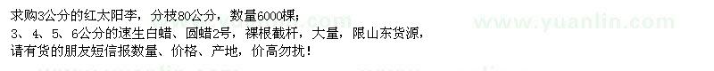 求購(gòu)紅太陽(yáng)李、速生白蠟、圓蠟2號(hào)