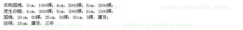 求購國槐、速生白蠟、法桐