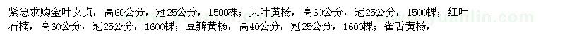 求購金葉女貞、大葉黃楊、紅葉石楠