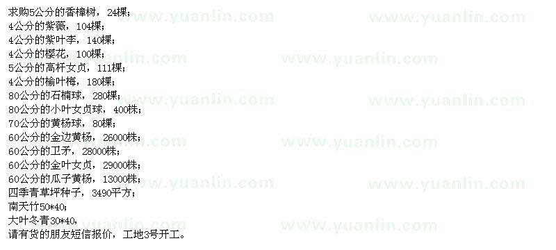 求購香樟樹、紫薇、紫葉李