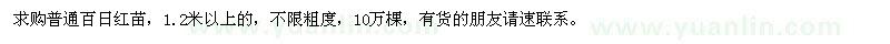 求購1.2米以上普通百日紅苗