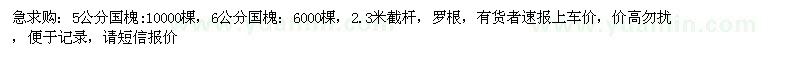 求購急求購，5公分國槐，6公分國槐