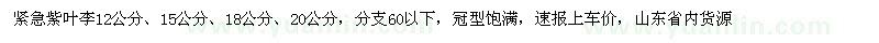 求購12、15、18、20公分紫葉李