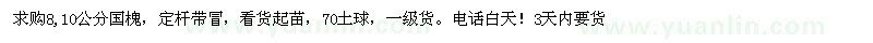 求購8、10公分國槐