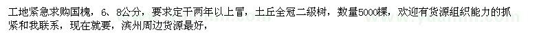 求購6、8公分國槐