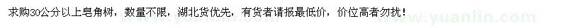 求購30公分以上皂角樹