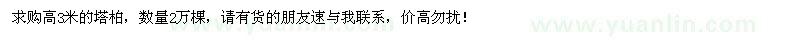 求購(gòu)高3米塔柏
