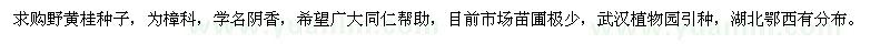 求購(gòu)野黃桂種子