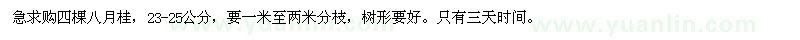 求購23-25公分八月桂