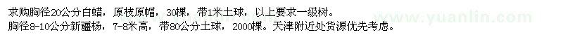 求購白蠟、新疆楊