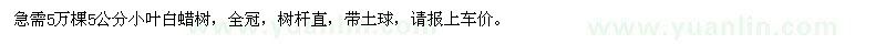 求購5公分小葉白蠟樹