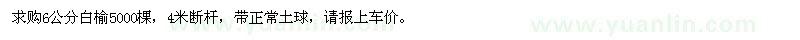 求購6公分白榆5000棵
