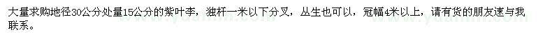 求購(gòu)地徑30公分處量15公分紫葉李