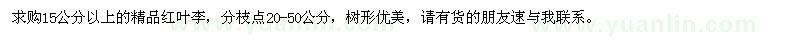 求購紅葉李