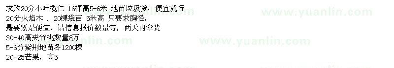 求購小葉欖仁、火焰木、夾竹桃