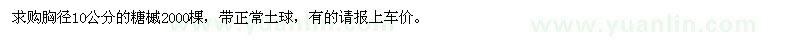 求購(gòu)胸徑10公分的糖槭