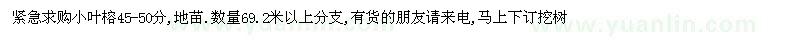 求購45-50公分小葉榕