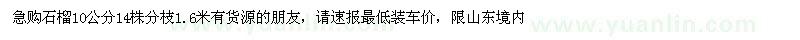 求購10公分石榴
