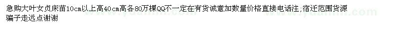 求購10公分以上高大葉女貞床苗