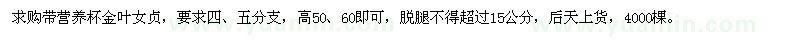 求購高50、60公分金葉女貞