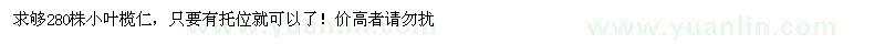 求購15分小葉欖仁地苗