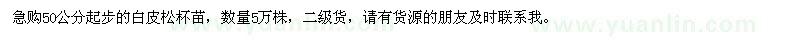 求購50公分起白皮松杯苗