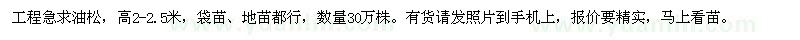 求購高2-2.5米油松