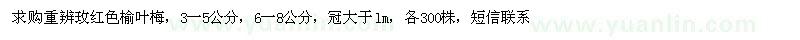 求購(gòu)重辨玫紅色榆葉梅