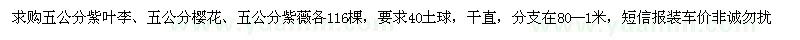 求購五公分紫葉李、櫻花、紫薇 