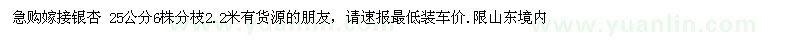 求購25公分嫁接銀杏