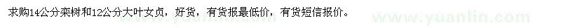 求購14公分欒樹、12公分大葉女貞