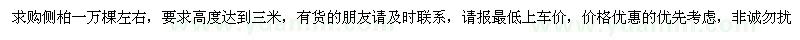 求購高3米側(cè)柏