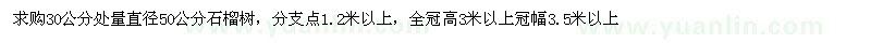 求購直徑50公分石榴樹