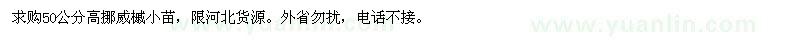 求購高50公分挪威槭小苗