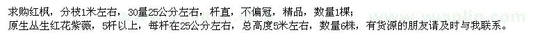 求購紅楓、原生叢生紅花紫薇