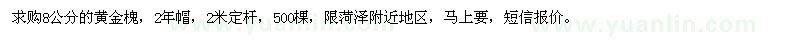 求購8公分黃金槐