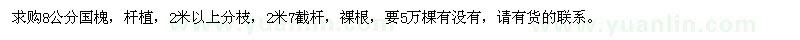 求購8公分國槐