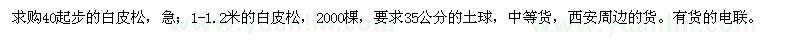 求購1-1.2米白皮松