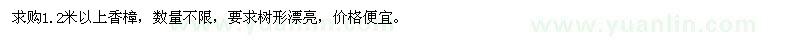 求購(gòu)1.2米以上香樟