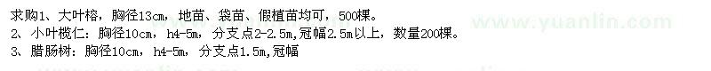 求購大葉榕、小葉欖仁、臘腸樹(shù)