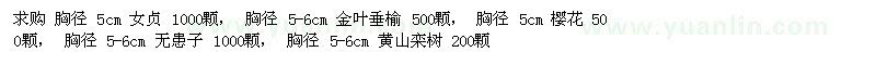 求購金葉垂榆、櫻花、無患子