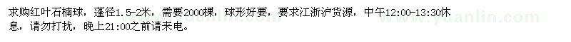 求購蓬徑1.5-2米紅葉石楠球