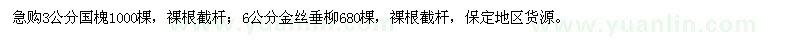 求購3公分國槐、6公分金絲垂柳